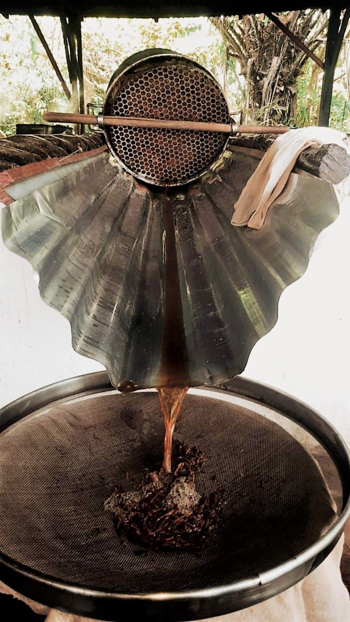 Ayahuasca