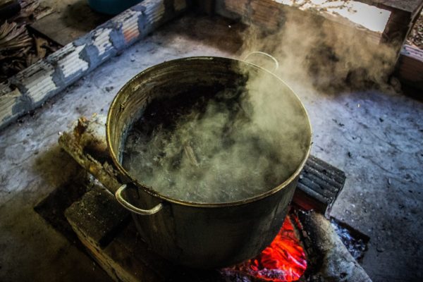 Ayahusca